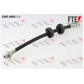 FTE 258E.666E.1.1 - Flexible de frein