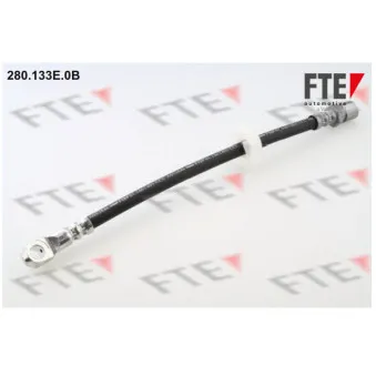 FTE 280.133E.0B - Flexible de frein