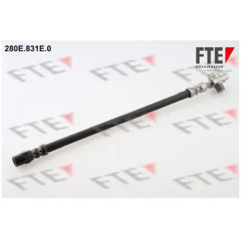 FTE 280E.831E.0 - Flexible de frein