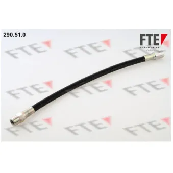 FTE 290.51.0 - Flexible de frein