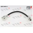 FTE 290E.666E.0.1 - Flexible de frein