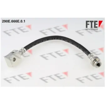 Flexible de frein FTE OEM 462109C005