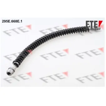 FTE 295E.668E.1 - Flexible de frein