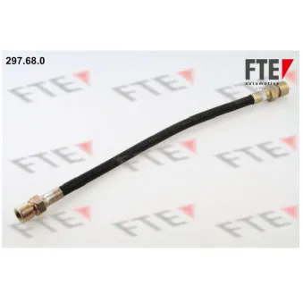 FTE 297.68.0 - Flexible de frein