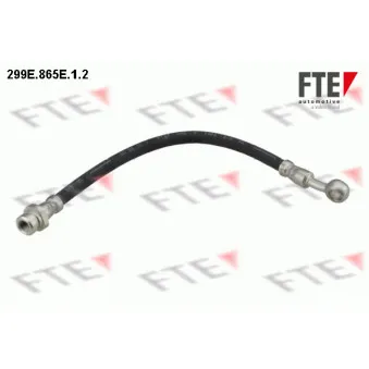 Flexible de frein FTE OEM 587371H300