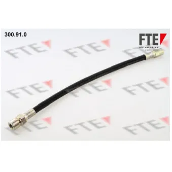 FTE 300.91.0 - Flexible de frein