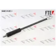 FTE 300E.512E.1 - Flexible de frein