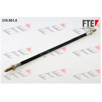 FTE 310.501.0 - Flexible de frein