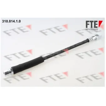 FTE 310.814.1.0 - Flexible de frein