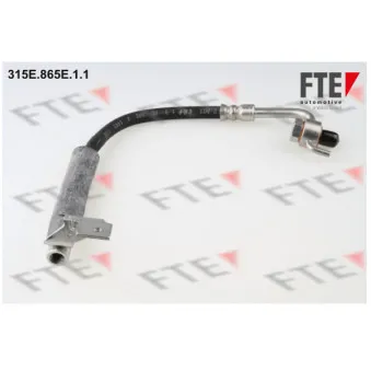 FTE 315E.865E.1.1 - Flexible de frein
