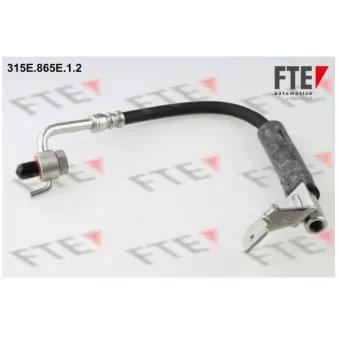 FTE 315E.865E.1.2 - Flexible de frein