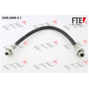 FTE 320E.666E.0.1 - Flexible de frein