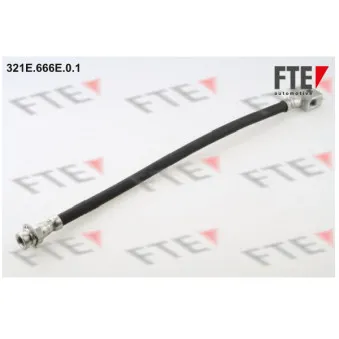 FTE 321E.666E.0.1 - Flexible de frein