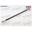 FTE 322E.666E.0.1 - Flexible de frein