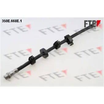 FTE 350E.668E.1 - Flexible de frein