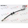 FTE 369E.469E.1.1 - Flexible de frein