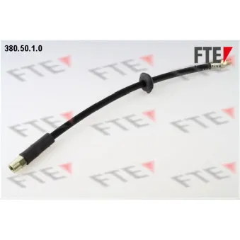 FTE 380.50.1.0 - Flexible de frein