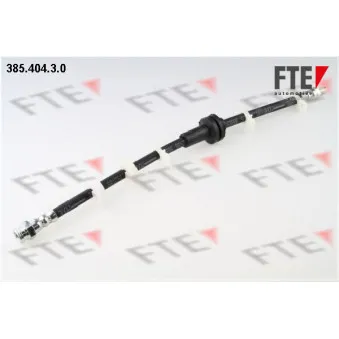 FTE 385.404.3.0 - Flexible de frein