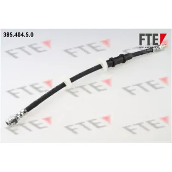 FTE 385.404.5.0 - Flexible de frein