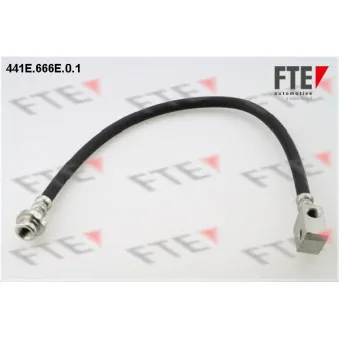 FTE 441E.666E.0.1 - Flexible de frein