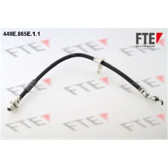 FTE 449E.865E.1.1 - Flexible de frein