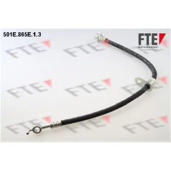 FTE 501E.865E.1.3 - Flexible de frein
