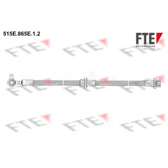 Flexible de frein FTE OEM 462108H30B