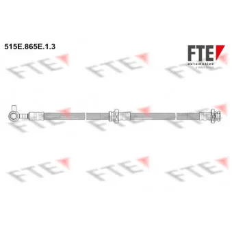 Flexible de frein FTE OEM 462108H30A