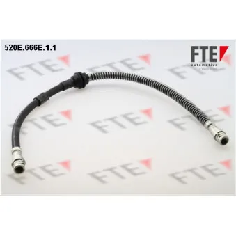 FTE 520E.666E.1.1 - Flexible de frein