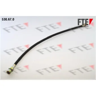 FTE 530.67.0 - Flexible de frein