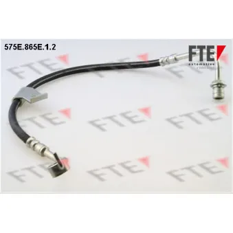 FTE 575E.865E.1.2 - Flexible de frein