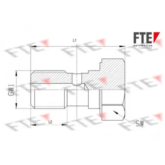 Vis creuse FTE OEM 8284001007