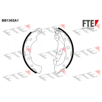 FTE BB1365A1 - Jeu de mâchoires de frein