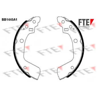 Jeu de mâchoires de frein FTE OEM 5320063J01