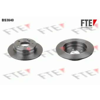 Jeu de 2 disques de frein arrière FTE OEM 2024230012