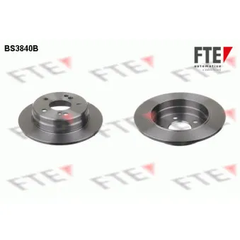 Jeu de 2 disques de frein arrière FTE OEM 2024230012