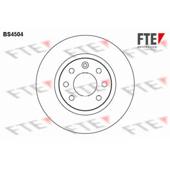 Jeu de 2 disques de frein avant FTE OEM 34557199