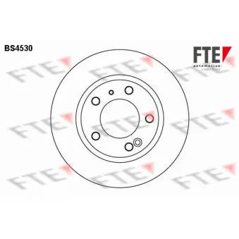 FTE BS4530 - Jeu de 2 disques de frein arrière