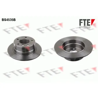 Jeu de 2 disques de frein arrière FTE OEM 34211160809