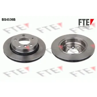 Jeu de 2 disques de frein arrière FTE OEM 34211162315