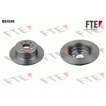 Jeu de 2 disques de frein arrière FTE OEM 569209