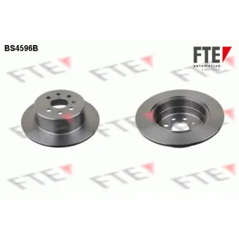 Jeu de 2 disques de frein arrière FTE OEM 569209