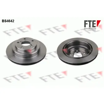Jeu de 2 disques de frein arrière FTE OEM 26310AA112