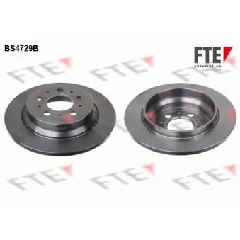 Jeu de 2 disques de frein arrière FTE OEM 9434167