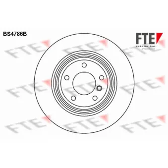 Jeu de 2 disques de frein arrière FTE OEM 34211160233
