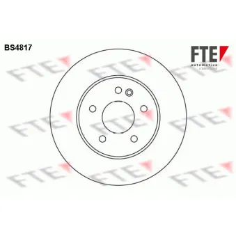 Jeu de 2 disques de frein avant FTE OEM 1634210212