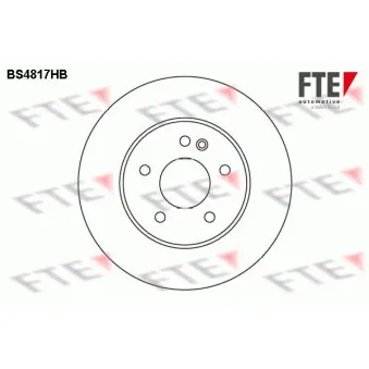 Jeu de 2 disques de frein avant FTE OEM 1634210212