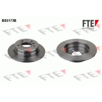 Jeu de 2 disques de frein arrière FTE OEM 1684230212