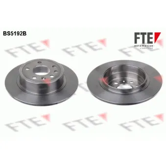 Jeu de 2 disques de frein arrière FTE OEM 12763591