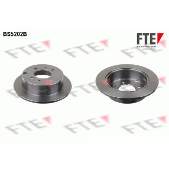 Jeu de 2 disques de frein arrière FTE OEM 5841138310